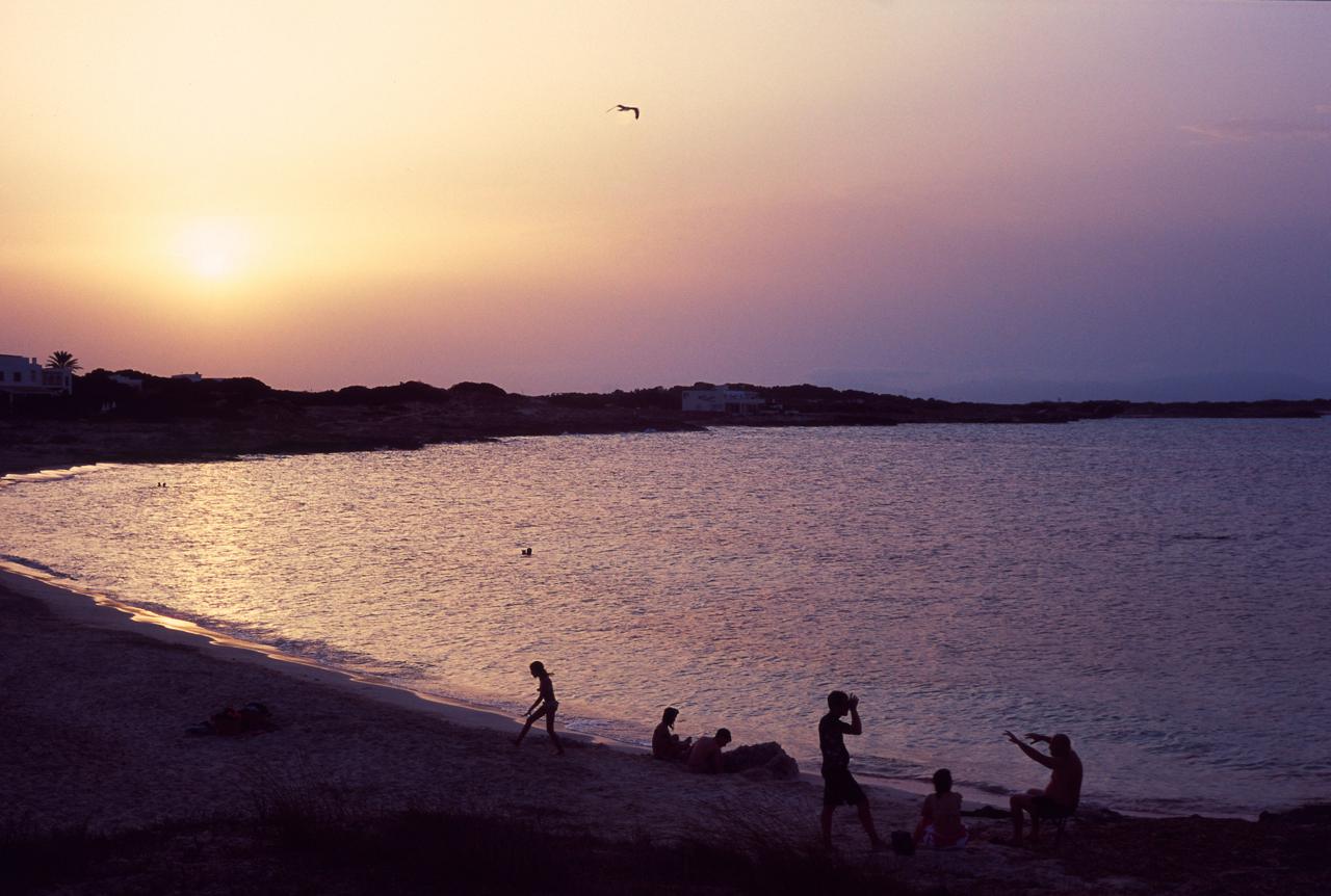 Siluetas de gente en la orilla de una playa al atardecer, con una gaviota en el cielo