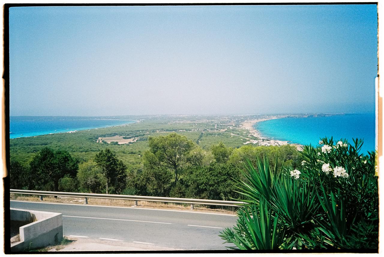 Vista de la isla desde un mirador, con el pinar y la costa turquesa a ambos lados