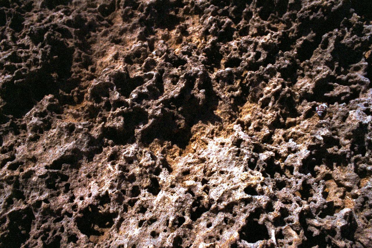Detalle de roca porosa y erosionada en tonos marrones