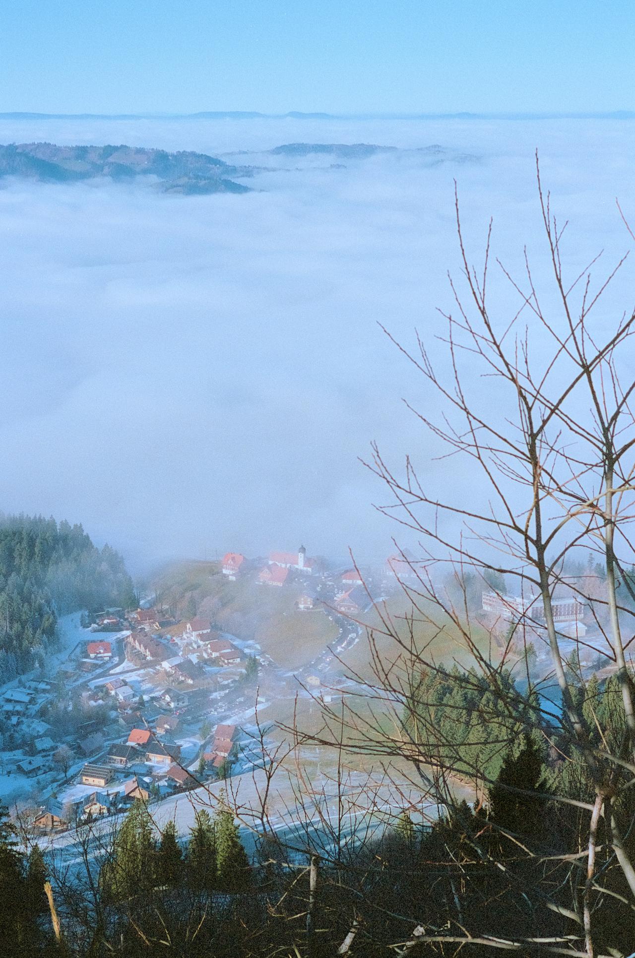 Pueblo en el fondo del valle bajo un mar de niebla, visto desde lo alto entre ramas desnudas
