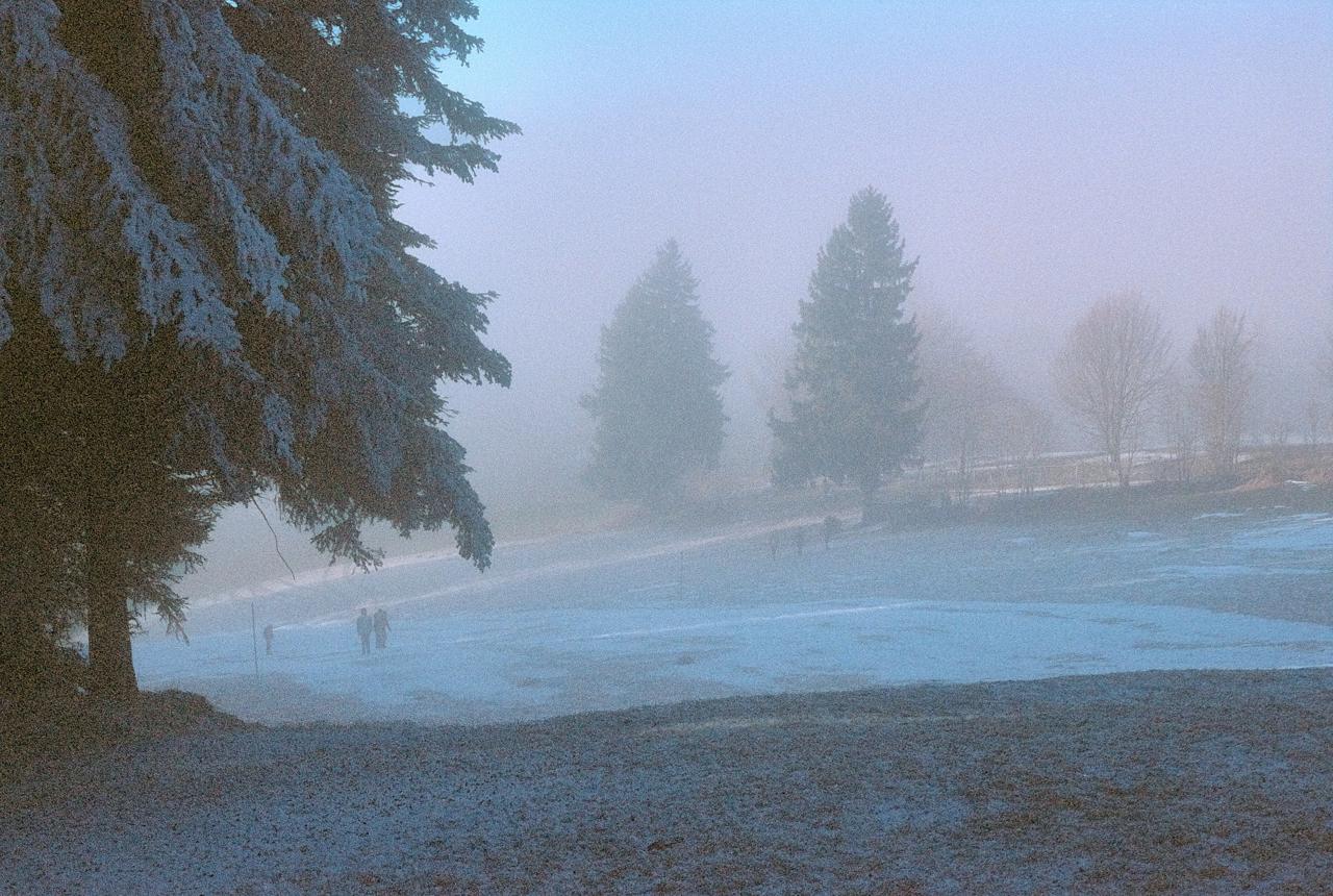 Abetos escarchados junto a un campo helado envuelto en niebla, con dos figuras a lo lejos