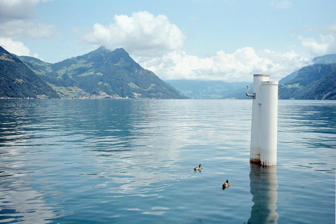 Poste blanco de un muelle en un lago de montaña, con dos patos nadando