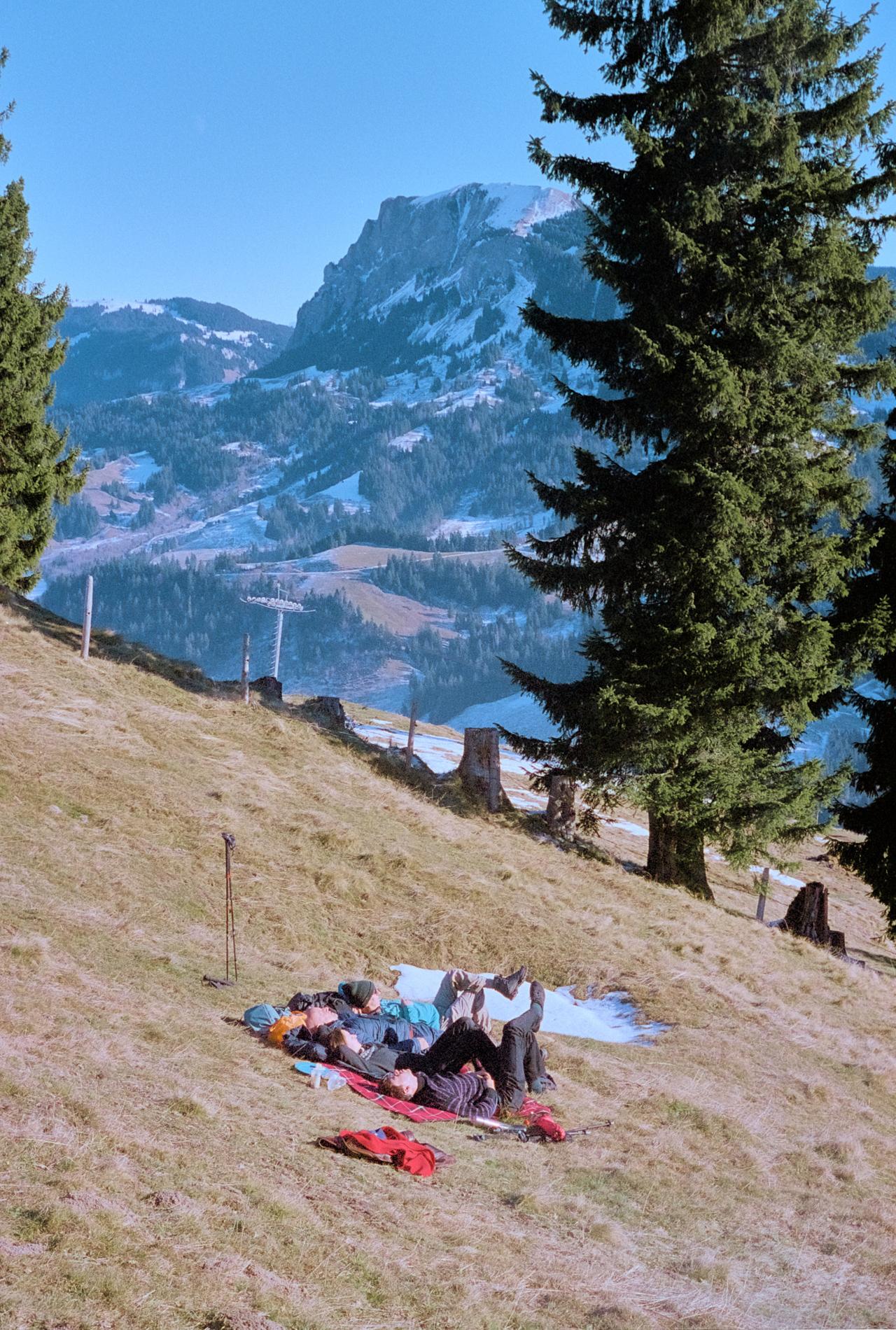 Personas echando la siesta sobre mantas en una ladera soleada, junto a un abeto